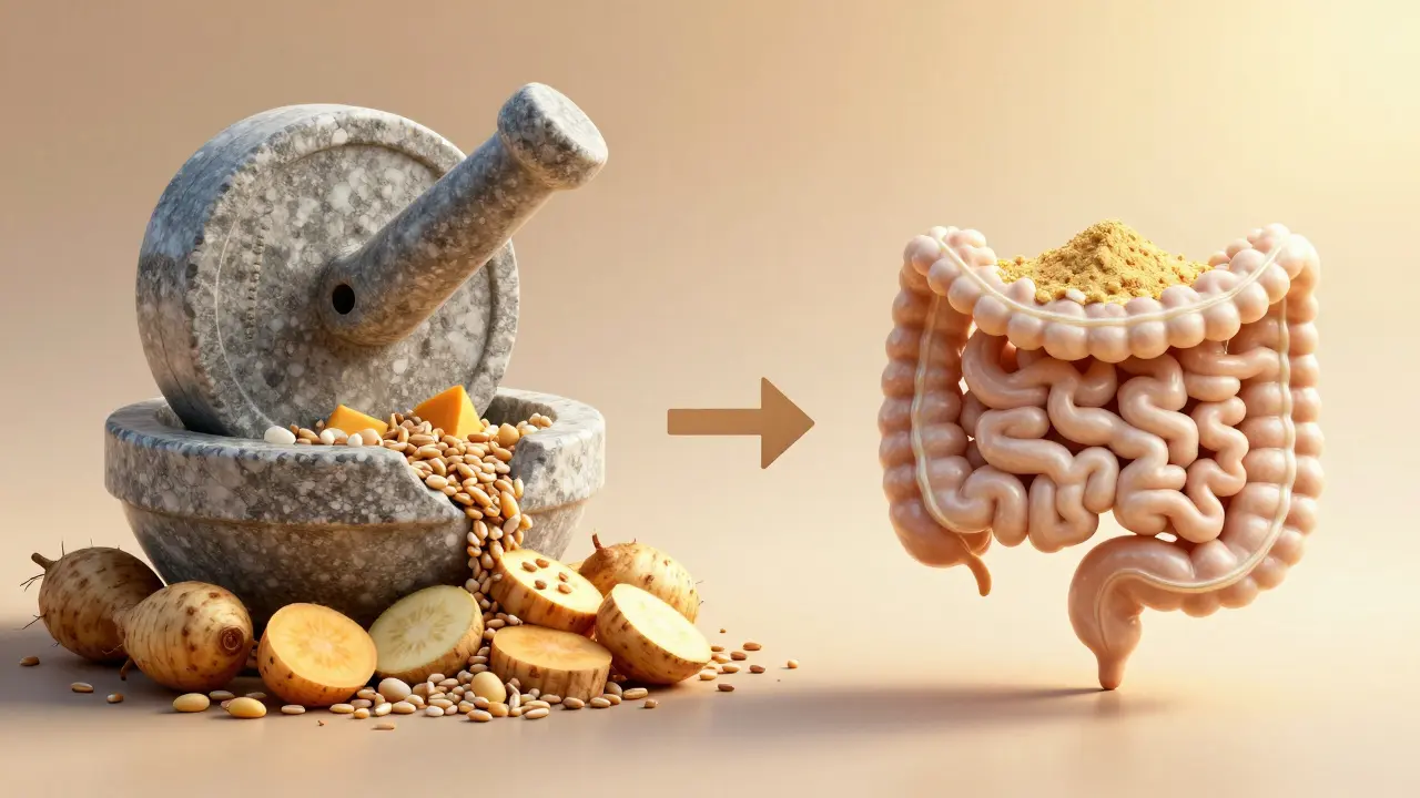 Moláry znázorněné jako mlýnky drtící obiloviny.